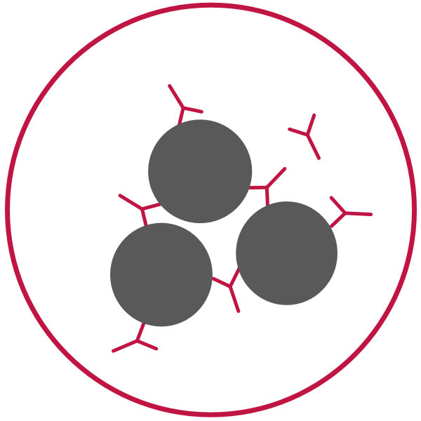 Immunohistochemistry Icon