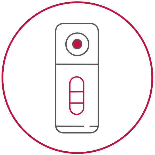 Lateral Flow Assay Icon