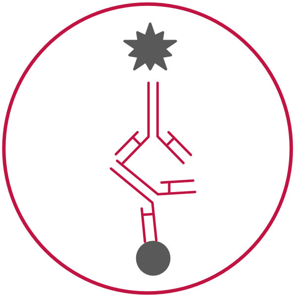 Turbidimetric assay Icon