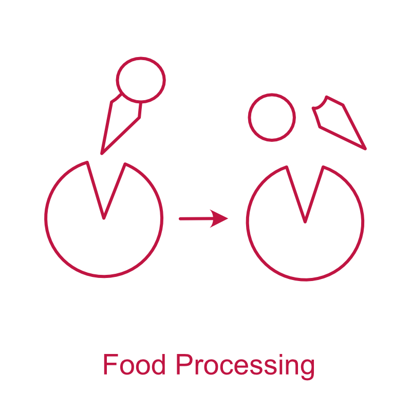 Food Processing