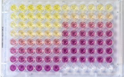 Functional Dyes