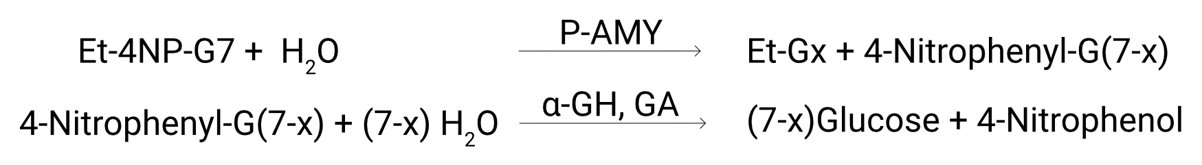 Amylase Assay_Principle of the Method
