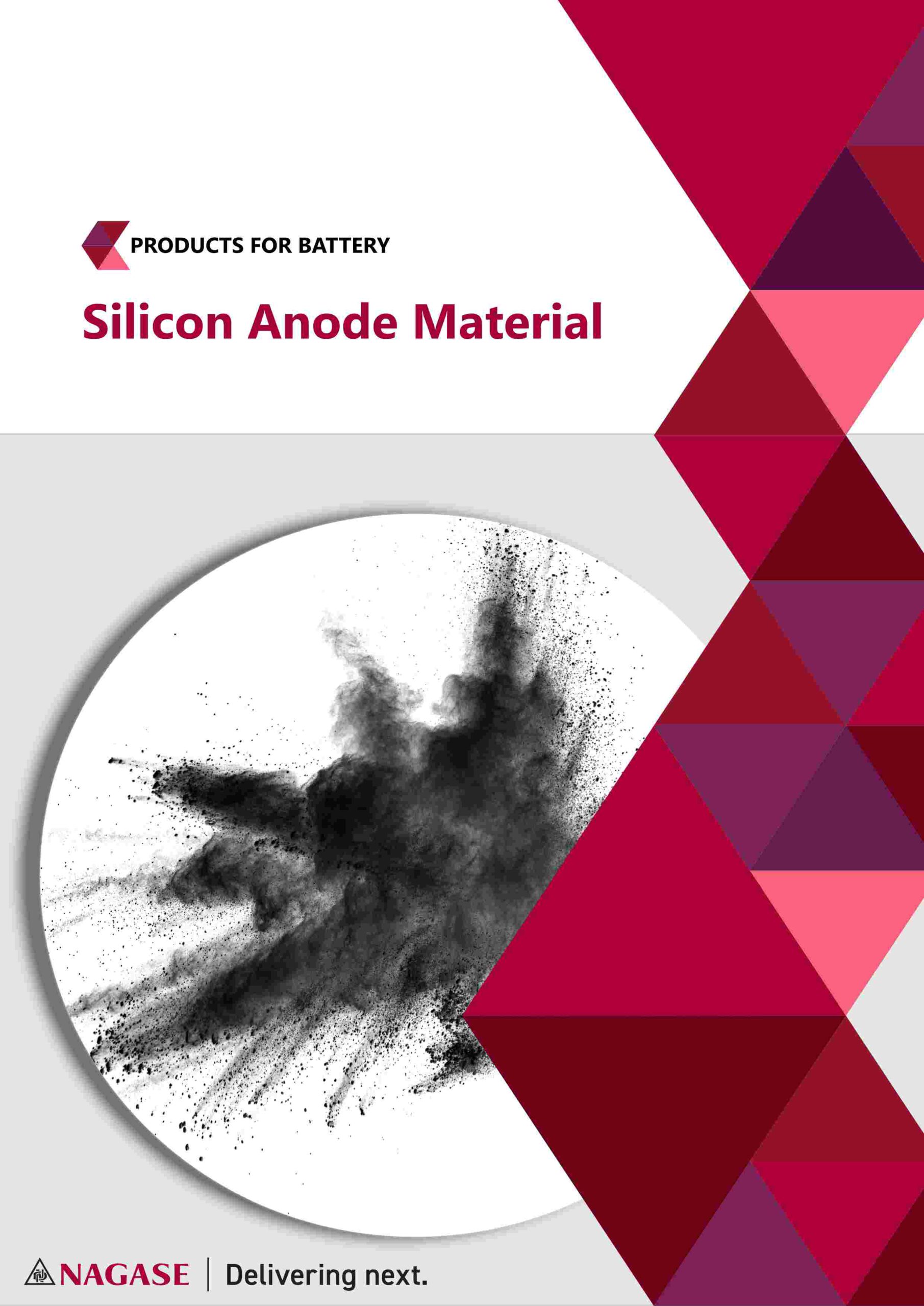 Flyer Front Anode