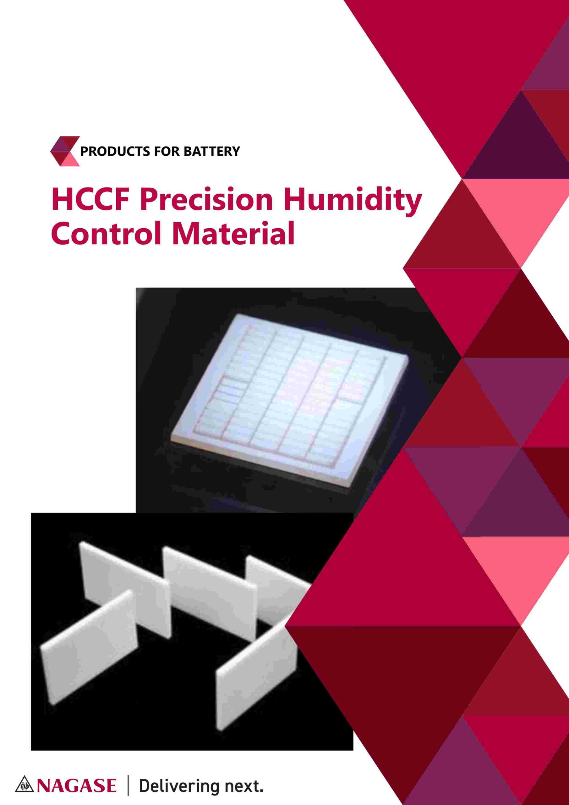 Flyer Front HCCF