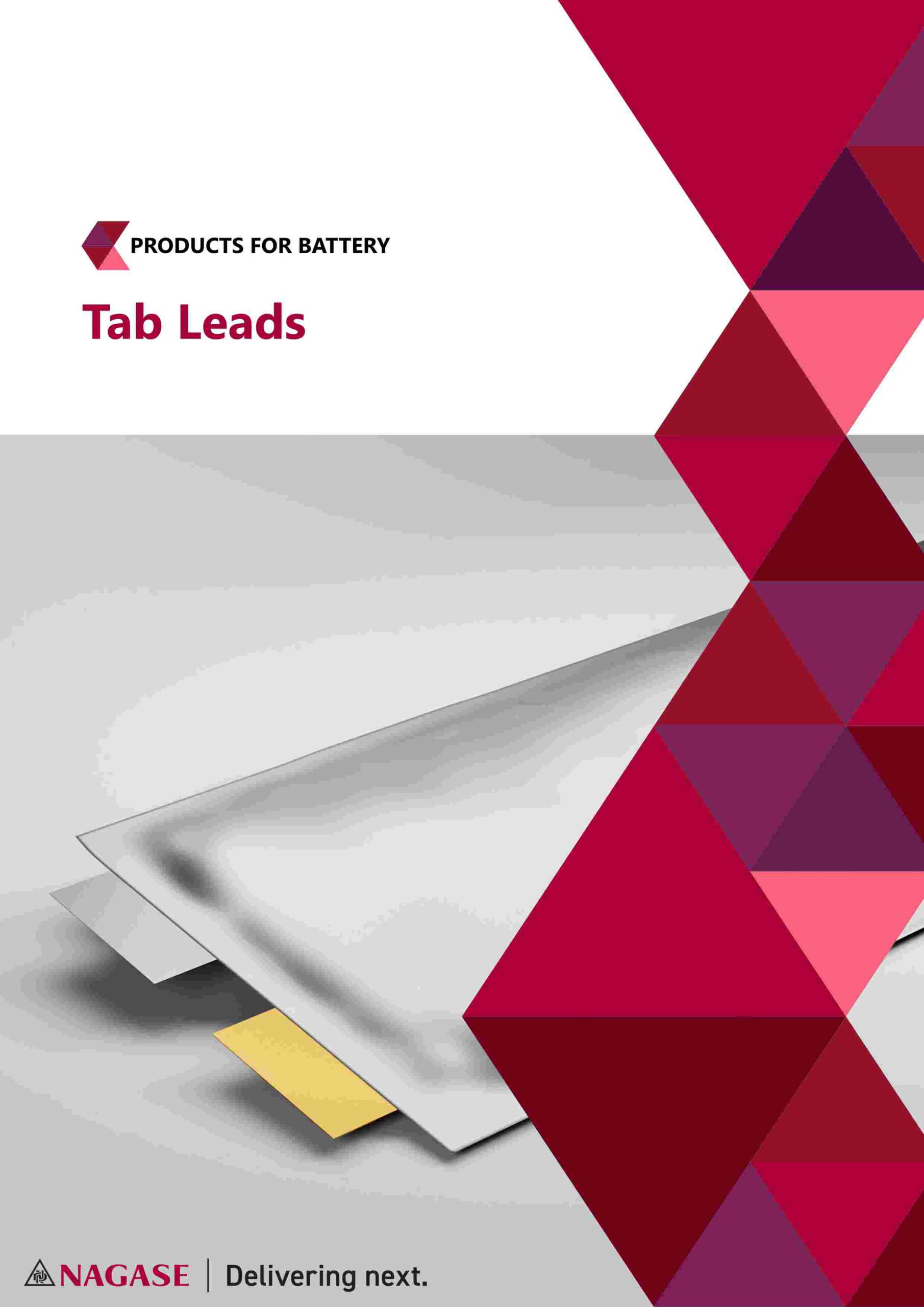 Flyer Front Tab Lead